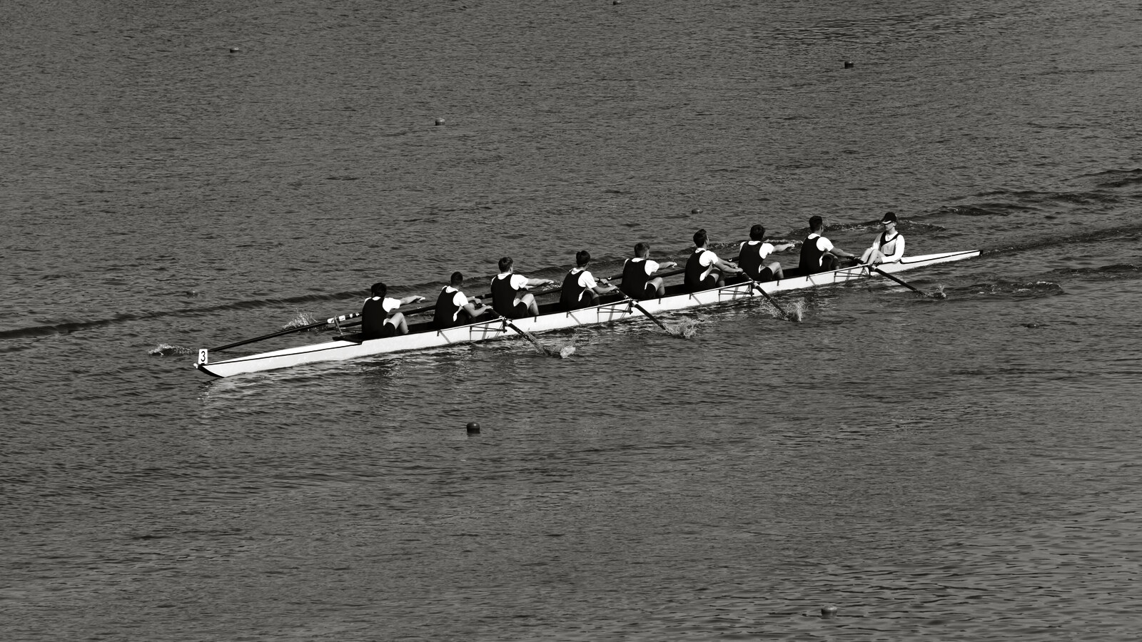 An eight-oar crew rowing in unison on still water